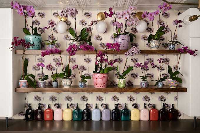 Shelves with vibrant orchids in colorful pots, set against floral wallpaper, above assorted soap bottles.
